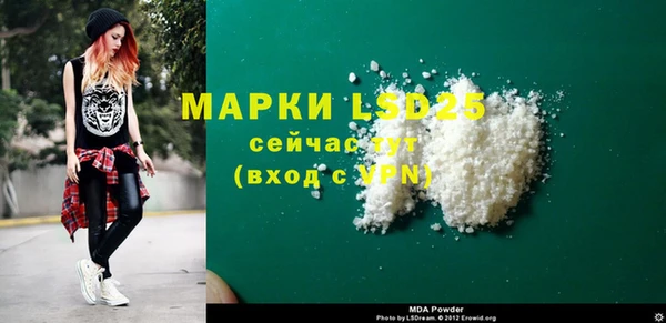 PSILOCYBIN Бородино