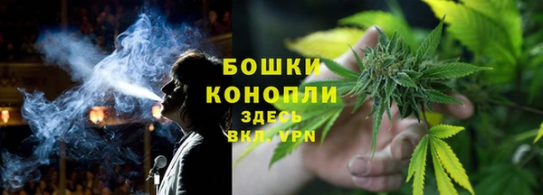 PSILOCYBIN Бородино
