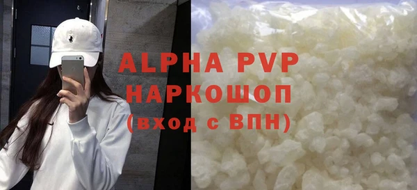 PSILOCYBIN Бородино