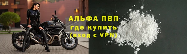 PSILOCYBIN Бородино