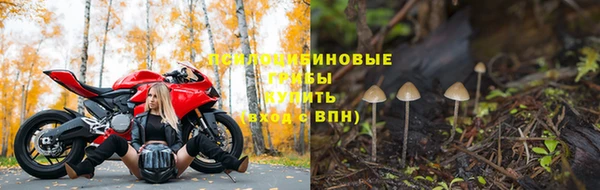 винт Саяногорск