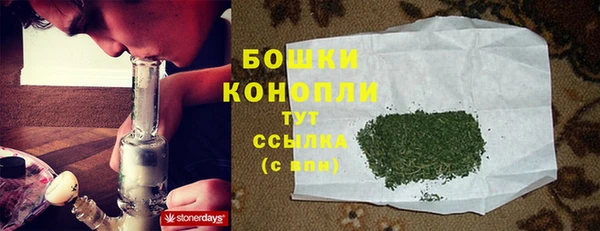PSILOCYBIN Бородино