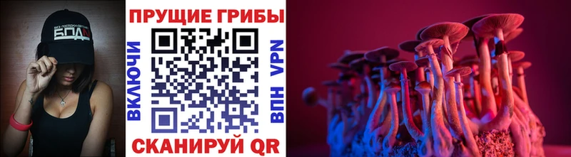 купить наркотик  blacksprut зеркало  Псилоцибиновые грибы ЛСД  Новосокольники 
