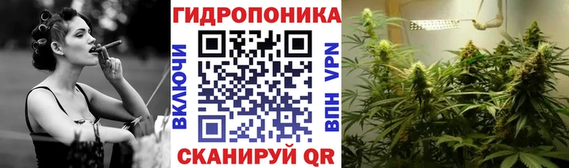 Бошки Шишки семена  гидра ССЫЛКА  Новосокольники 